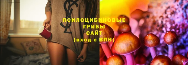 a pvp Ельня