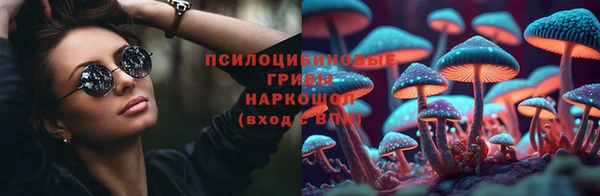 a pvp Ельня