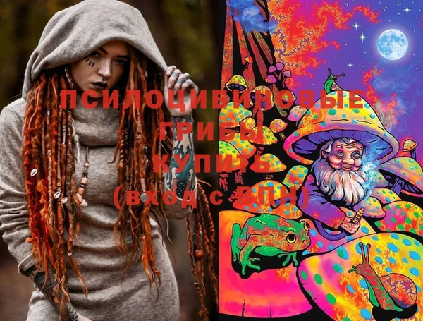дурь Елизово