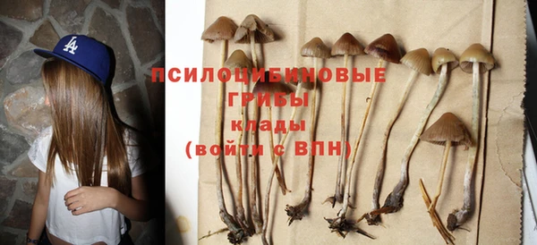 дурь Елизово
