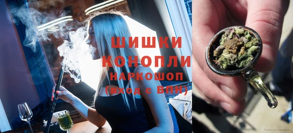 a pvp Ельня