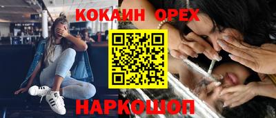меф Гатчина