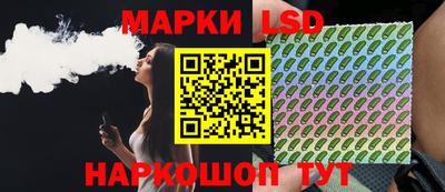 меф Гатчина
