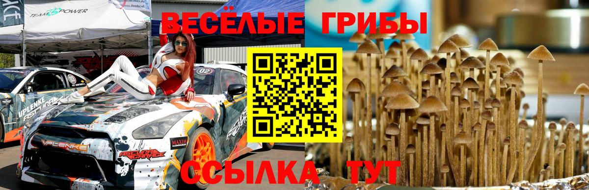 Сланцы  Псилоцибиновые грибы Magic Shrooms  Вход с VPN  Галлюциногенные грибы Psilocybine cubensis 